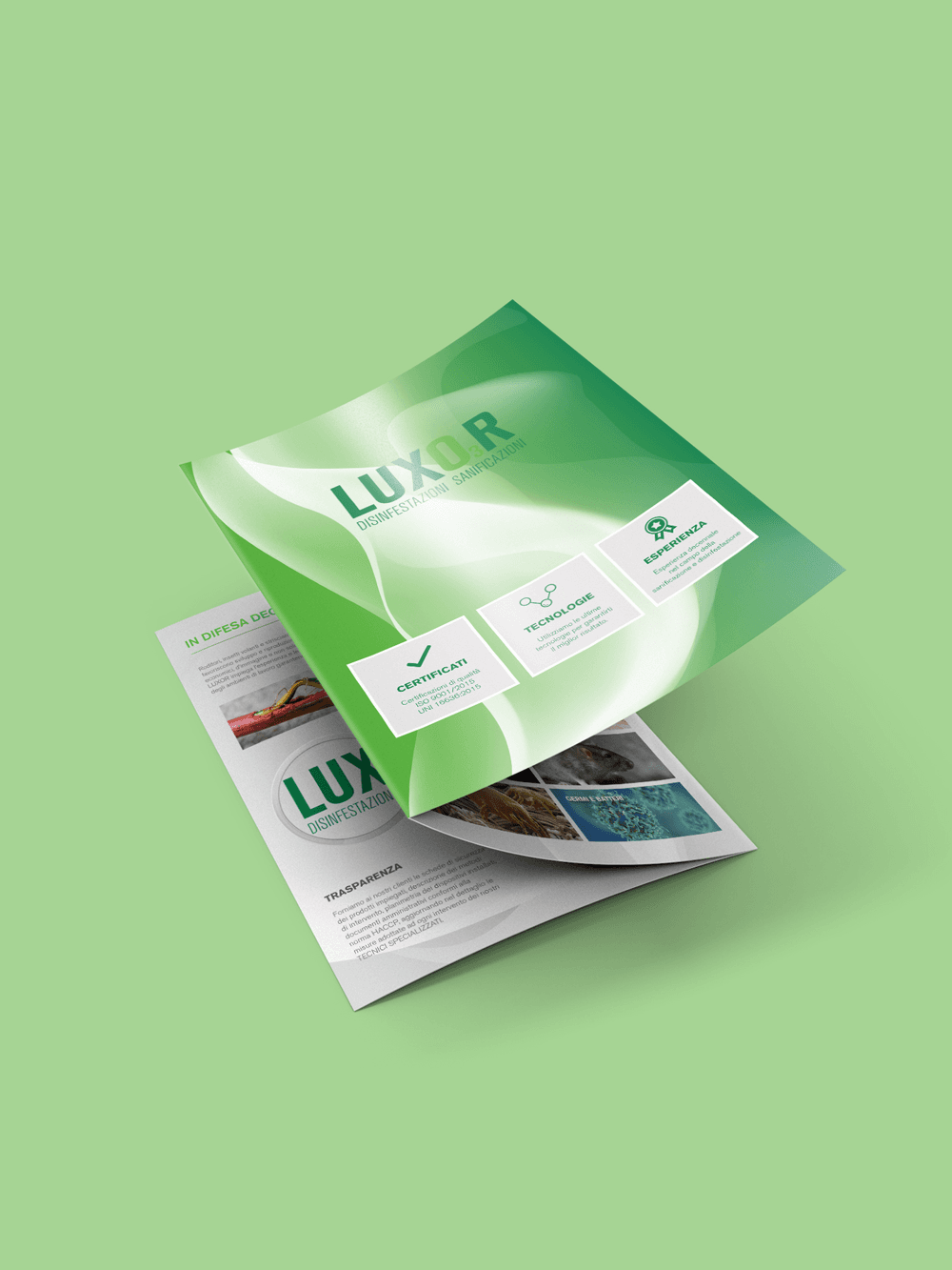 Editorial Design