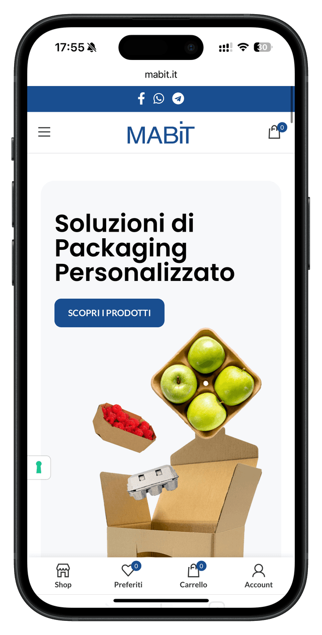 iPhone 2